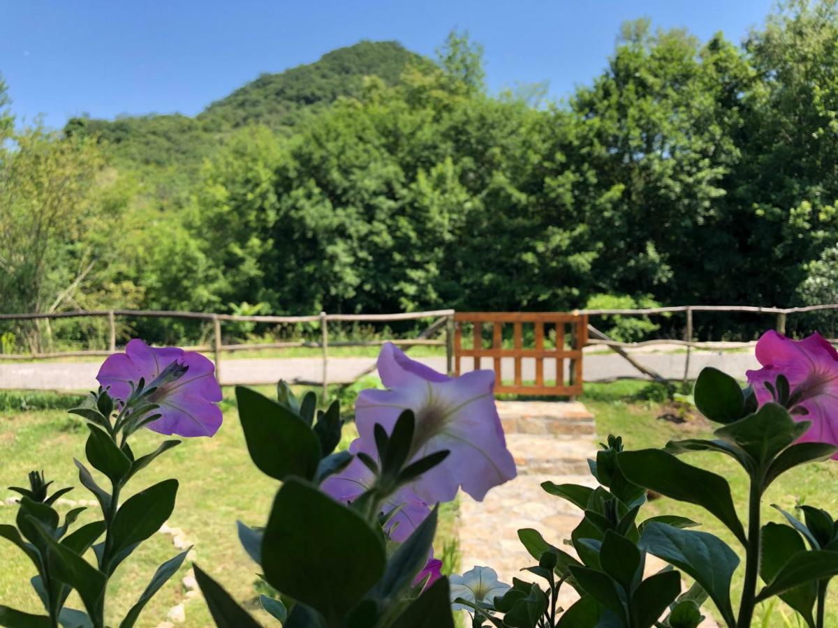 Orahovo Cottages Virpazar Buitenkant foto