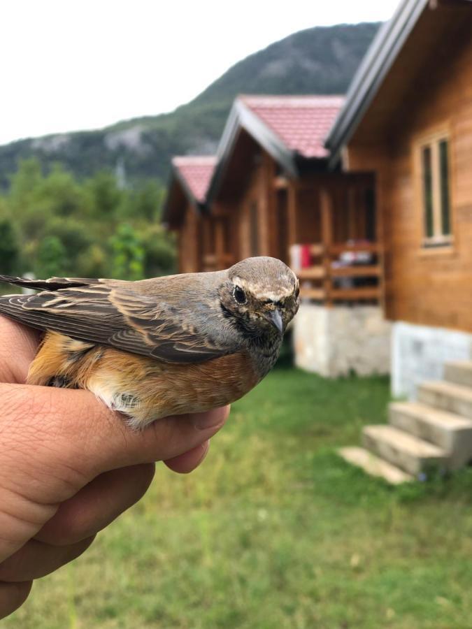Orahovo Cottages Virpazar Buitenkant foto
