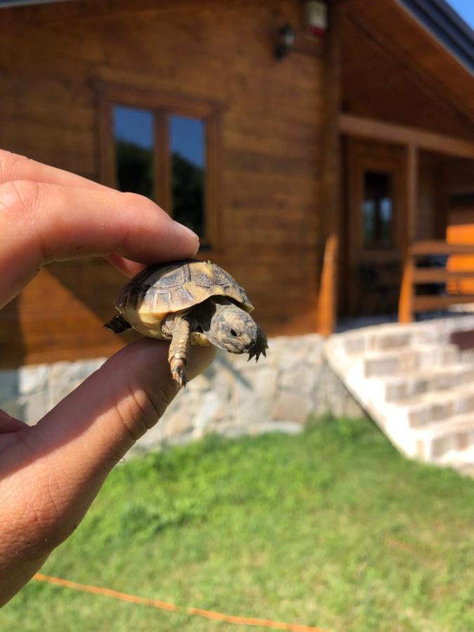 Orahovo Cottages Virpazar Buitenkant foto